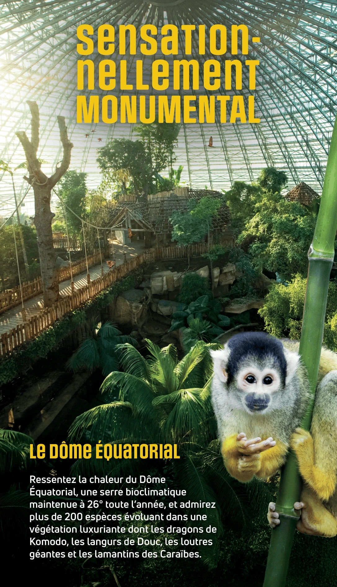 Sensationnellement monumental - zoo de beauval tarifs réduits billets à prix ce cse 