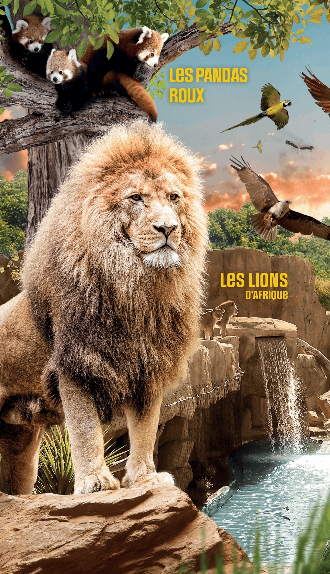 Zoo de beauval prix CE CSE