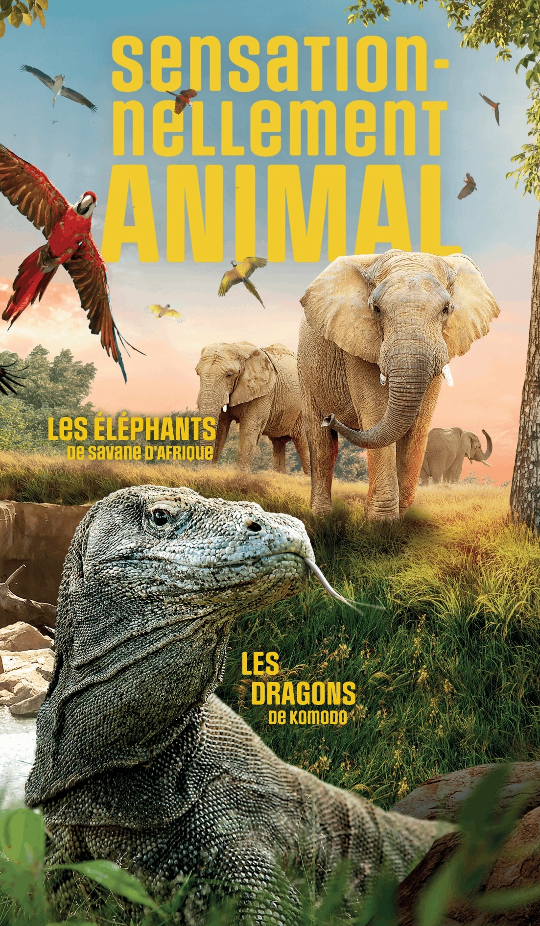 Sensationnellement animal zoo de beauval billets à tarif réduits prix ce cse 