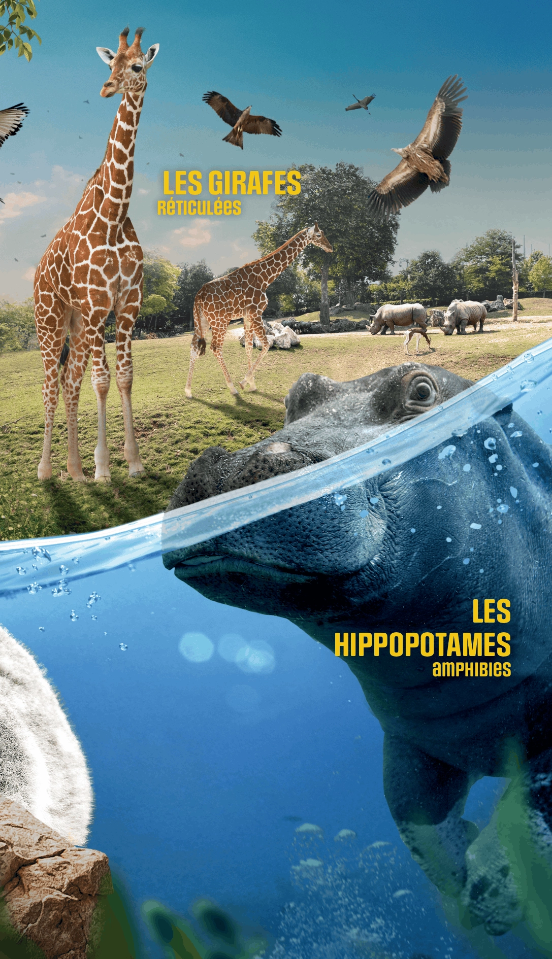 billets zoo de beauval à prix CE CSE